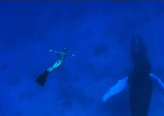 Бухта (2009) скачать торрент бесплатно Бухта (2009) фильм скачать торрент бесплатно