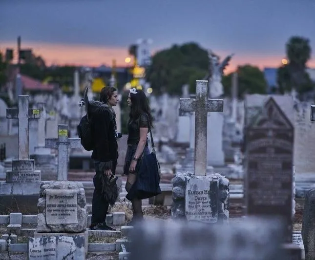 Мальчики на деревьях (2016) скачать торрент файл Мальчики на деревьях (2016) фильм скачать торрент файл