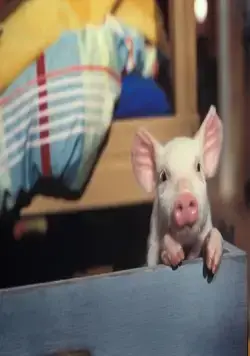 Руди – гончий поросенок (2007) в хорошем качестве скачать торрент файл Руди – гончий поросенок (2007) фильм в хорошем качестве скачать торрент файл