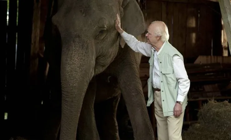 Столетний старик, который вылез в окно и исчез (2013) скачать торрент файл Столетний старик, который вылез в окно и исчез (2013) фильм скачать торрент файл