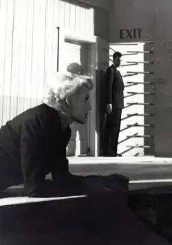 Леди из Шанхая (1947) скачать торрент бесплатно Леди из Шанхая (1947) фильм скачать торрент бесплатно