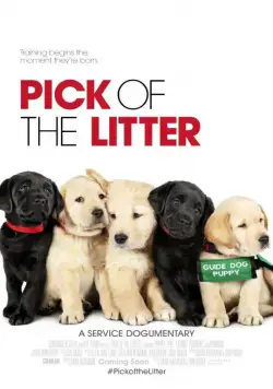 Выбор щенка / Pick of the Litter (2018) фильм скачать через торрет бесплатно в хорошем качестве