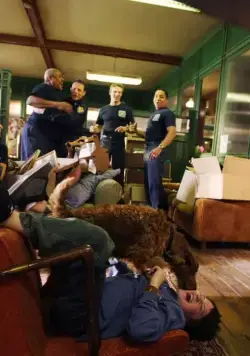 Пожарный пес (2006) в хорошем качестве скачать торрент файл Пожарный пес (2006) фильм в хорошем качестве скачать торрент файл