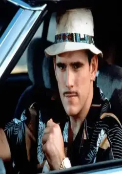 Все без ума от Мэри (1998) скачать торрент бесплатно Все без ума от Мэри (1998) фильм скачать торрент бесплатно