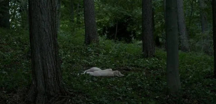 Мистериум. Убийцы фазана (2014) скачать торрент бесплатно Мистериум. Убийцы фазана (2014) фильм скачать торрент бесплатно