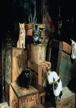 Стюарт Литтл (1999) скачать торрент бесплатно Стюарт Литтл (1999) фильм скачать торрент бесплатно