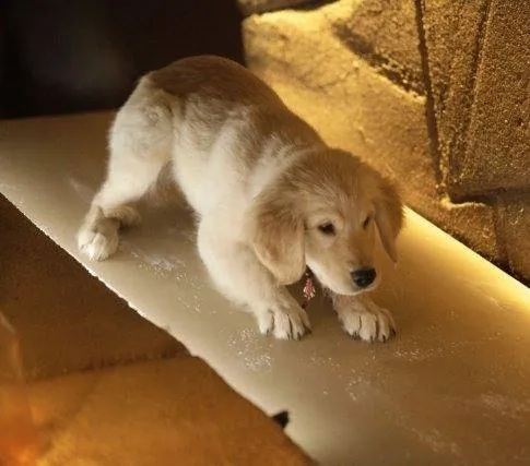 Пятерка кладоискателей (2012) скачать торрент файл Пятерка кладоискателей (2012) фильм скачать торрент файл