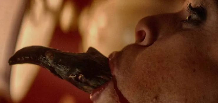 Чёрная комната (2017) скачать торрент бесплатно Чёрная комната (2017) фильм скачать торрент бесплатно