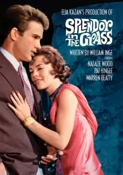 Великолепие в траве / Splendor in the Grass (1961) фильм скачать через торрет бесплатно в хорошем качестве