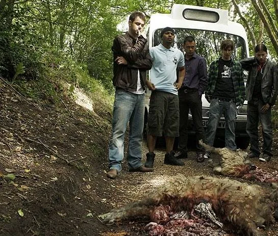 Попали! (2009) в хорошем качестве скачать торрент файл Попали! (2009) фильм в хорошем качестве скачать торрент файл