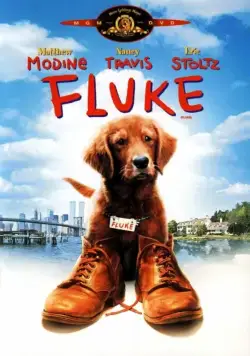 Флюк / Fluke (1995) фильм скачать через торрет бесплатно в хорошем качестве