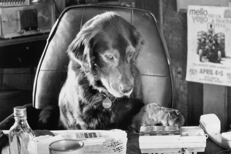 Флюк (1995) в хорошем качестве скачать торрент файл Флюк (1995) фильм в хорошем качестве скачать торрент файл