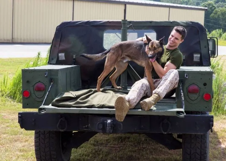 Макс (2015) скачать торрент файл Макс (2015) фильм скачать торрент файл