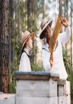 Тайная жизнь пчёл (2008) скачать торрент файл Тайная жизнь пчёл (2008) фильм скачать торрент файл