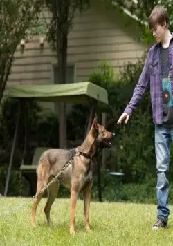 Макс (2015) в хорошем качестве скачать торрент файл Макс (2015) фильм в хорошем качестве скачать торрент файл