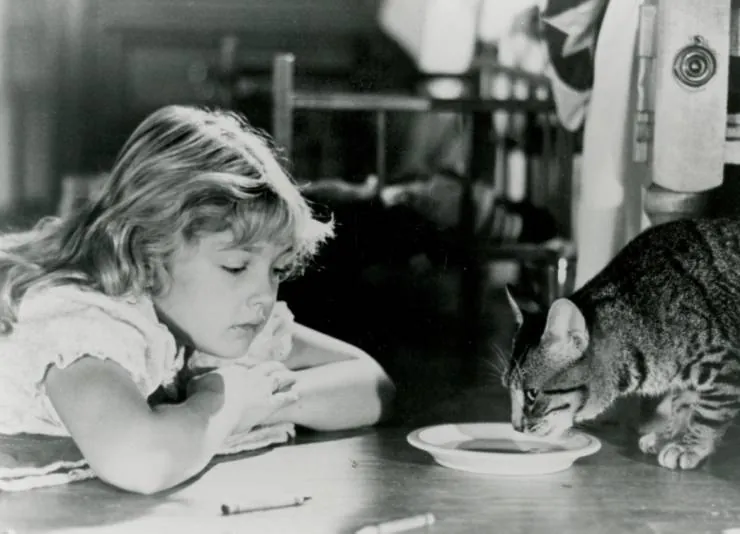 Кошачий глаз (1985) скачать торрент бесплатно Кошачий глаз (1985) фильм скачать торрент бесплатно