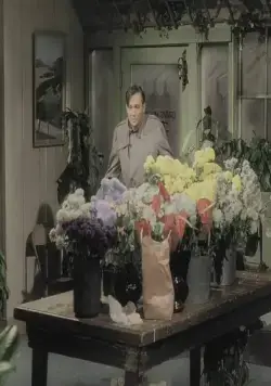 Магазинчик ужасов (1960) в хорошем качестве скачать торрент файл Магазинчик ужасов (1960) фильм в хорошем качестве скачать торрент файл