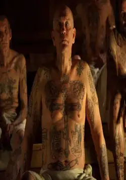 Сибирское воспитание (2012) скачать торрент файл Сибирское воспитание (2012) фильм скачать торрент файл