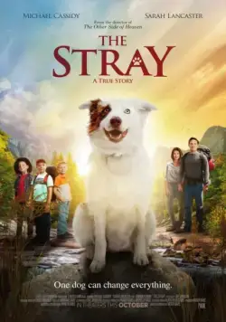 Бродяжка / The Stray (2017) фильм скачать через торрет бесплатно в хорошем качестве