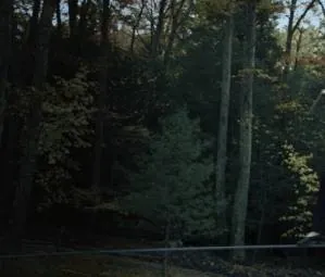 Человек на проволоке (2007) скачать торрент бесплатно Человек на проволоке (2007) фильм скачать торрент бесплатно