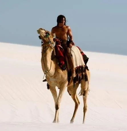 Царь скорпионов 2: Восхождение воина (2008) в хорошем качестве скачать торрент файл Царь скорпионов 2: Восхождение воина (2008) фильм в хорошем качестве скачать торрент файл