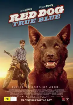 Рыжий пес: Самый верный / Red Dog: True Blue (2016) фильм скачать через торрет бесплатно в хорошем качестве