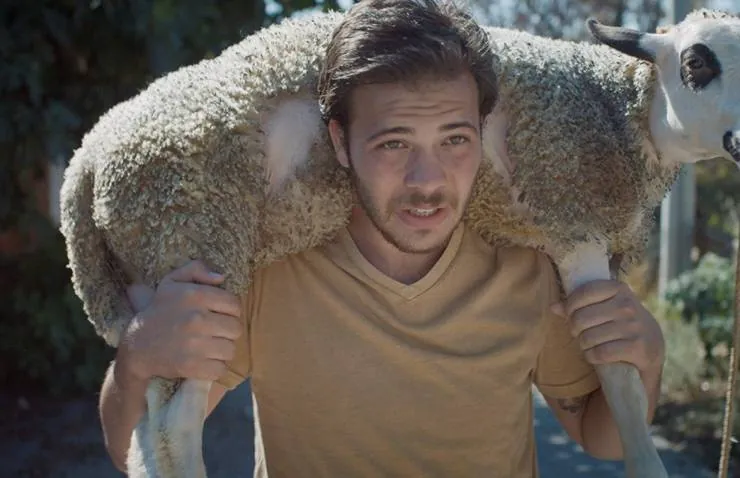 Мертвая лошадь Небула (2018) скачать торрент бесплатно Мертвая лошадь Небула (2018) фильм скачать торрент бесплатно