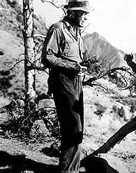 Сокровища Сьерра Мадре (1947) в хорошем качестве скачать торрент файл Сокровища Сьерра Мадре (1947) фильм в хорошем качестве скачать торрент файл