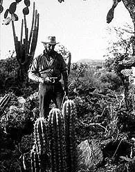 Сокровища Сьерра Мадре (1947) скачать торрент бесплатно Сокровища Сьерра Мадре (1947) фильм скачать торрент бесплатно