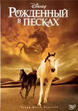 Рожденный в песках / Young Black Stallion (2003) фильм скачать через торрет бесплатно в хорошем качестве