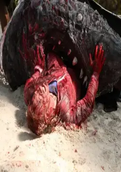 Акулий торнадо 3 (2015) скачать торрент файл Акулий торнадо 3 (2015) фильм скачать торрент файл