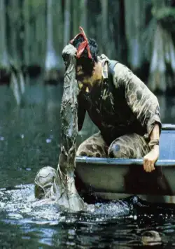 Болотная тварь (1981) в хорошем качестве скачать торрент файл Болотная тварь (1981) фильм в хорошем качестве скачать торрент файл