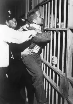 Асфальтовые джунгли (1950) скачать торрент файл Асфальтовые джунгли (1950) фильм скачать торрент файл