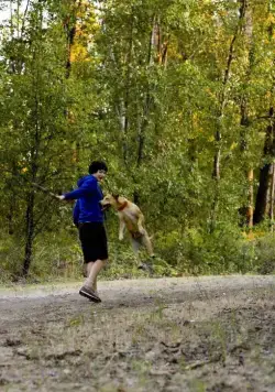 Венди и Люси (2008) скачать торрент файл Венди и Люси (2008) фильм скачать торрент файл