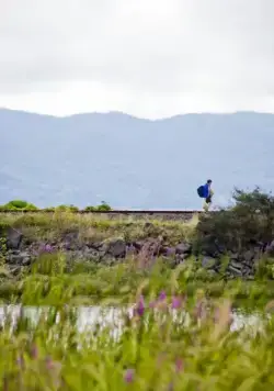 Венди и Люси (2008) скачать торрент бесплатно Венди и Люси (2008) фильм скачать торрент бесплатно