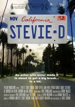 Стиви Ди / Stevie D (2016) фильм скачать через торрет бесплатно в хорошем качестве