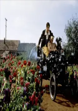 Черная кошка, белый кот (1998) в хорошем качестве скачать торрент файл Черная кошка, белый кот (1998) фильм в хорошем качестве скачать торрент файл