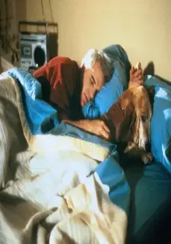 Одинокий парень (1984) в хорошем качестве скачать торрент файл Одинокий парень (1984) фильм в хорошем качестве скачать торрент файл