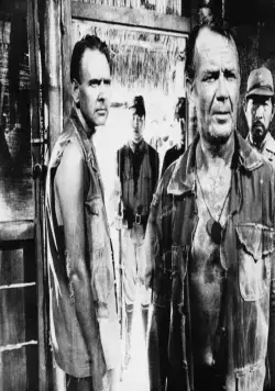 Король крыс (1965) скачать торрент бесплатно Король крыс (1965) фильм скачать торрент бесплатно