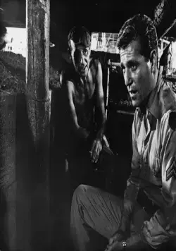 Король крыс (1965) скачать торрент файл Король крыс (1965) фильм скачать торрент файл