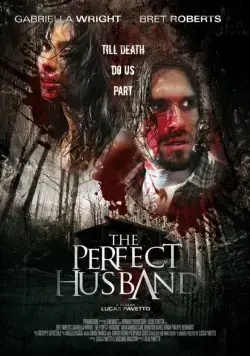 Идеальный муж / The Perfect Husband (2014) фильм скачать через торрет бесплатно в хорошем качестве