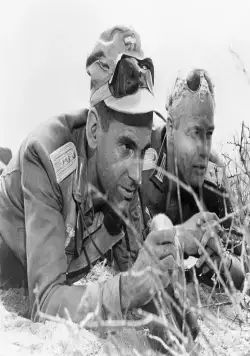 Молодые львы (1958) скачать торрент файл Молодые львы (1958) фильм скачать торрент файл