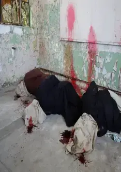 Враждебные вороны (2016) скачать торрент файл Враждебные вороны (2016) фильм скачать торрент файл