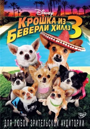 Крошка из Беверли-Хиллз 3 / Beverly Hills Chihuahua 3: Viva La Fiesta! (2012) фильм скачать через торрет бесплатно в хорошем качестве