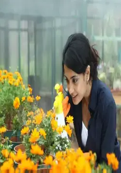 Когти (2011) в хорошем качестве скачать торрент файл Когти (2011) фильм в хорошем качестве скачать торрент файл