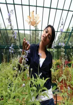 Когти (2011) скачать торрент бесплатно Когти (2011) фильм скачать торрент бесплатно