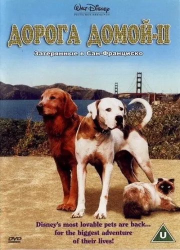 Дорога домой 2: Затерянные в Сан-Франциско / Homeward Bound II: Lost in San Francisco (1996) фильм скачать через торрет бесплатно в хорошем качестве