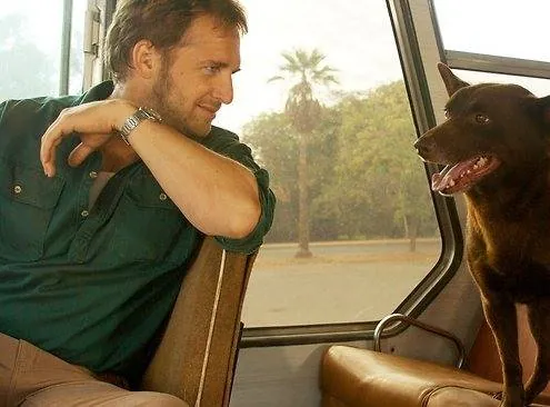 Рыжий пес (2011) в хорошем качестве скачать торрент файл Рыжий пес (2011) фильм в хорошем качестве скачать торрент файл