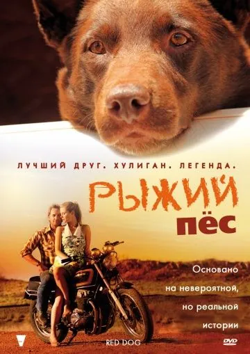 Рыжий пес / Red Dog (2011) фильм скачать через торрет бесплатно в хорошем качестве