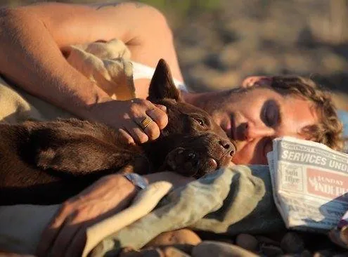 Рыжий пес (2011) скачать торрент бесплатно Рыжий пес (2011) фильм скачать торрент бесплатно